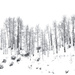 Layers of Fallen Snow by exposure4u