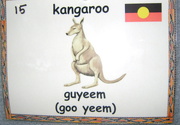 2nd Jul 2018 - Guyeem - kangaroo