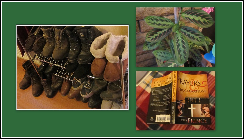 Footwear, prayer plant, book. by grace55