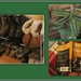 Footwear, prayer plant, book. by grace55