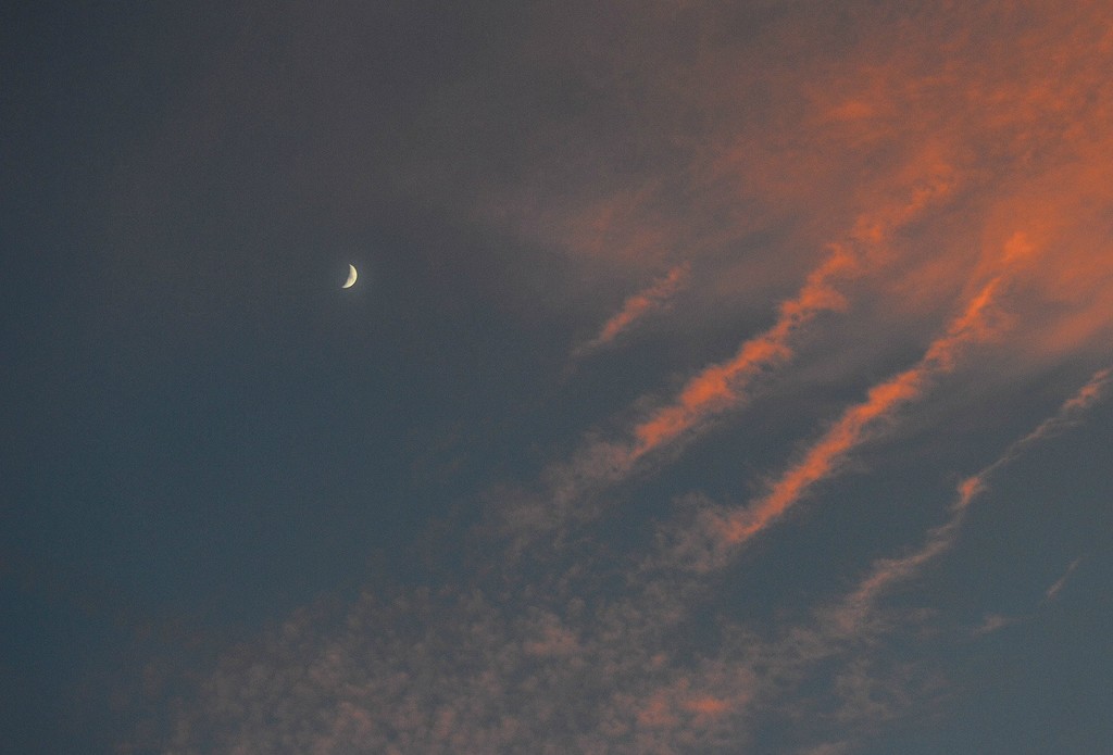 moon and red clouds by caterina