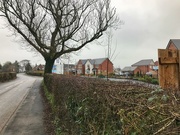 12th Jan 2019 - New houses