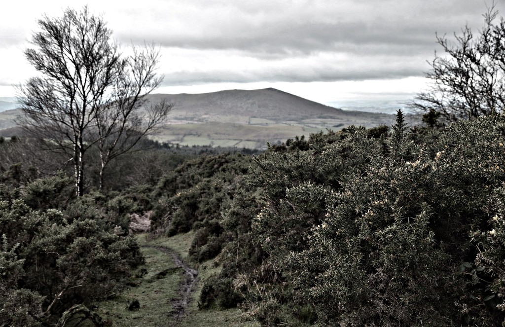 condon hill by ianmetcalfe