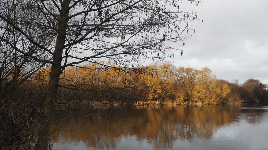 Patching Pond by josiegilbert