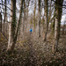 Benj in The Wood by newbank