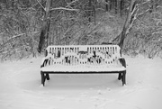 13th Jan 2019 - park bench
