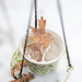 frozen cuppa by vankrey