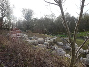 13th Jan 2019 - ... but found lots of sheep