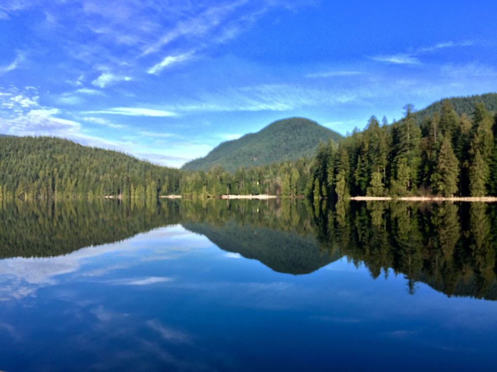 Seeing Double at Sassamat Lake by bilbaroo