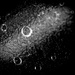 B&W Challenge (tag bw-37) - Droplets/Bubbles by gigiflower
