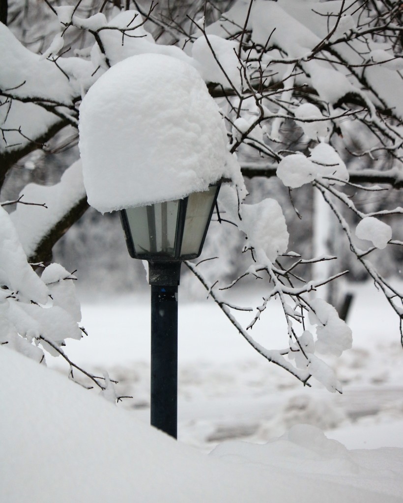 January 14: Snow Light by daisymiller