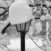 Lamp Post in BW by daisymiller