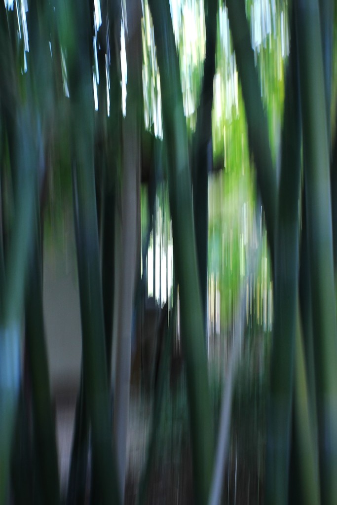 Japanese Tea House Through The Bamboo by blueberry1222