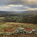 Conwy Valley by dailydelight