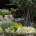 Royal Hobart Botanical Gardens (2) by kgolab
