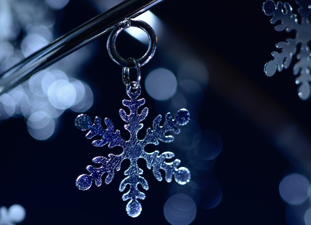 The Closest I'll Get To Christmas Snowflakes..._DSC4404 by merrelyn