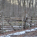 Fence on a cold gray day. by mittens