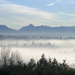 Foggy Morning  by epcello
