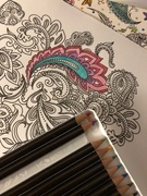 15th Jan 2019 - Mindfulness Colouring....