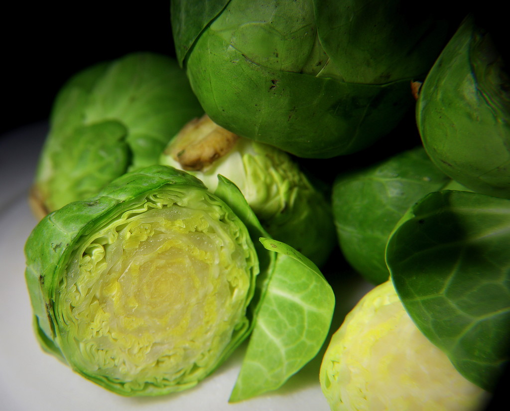 Day 15: Brussel Sprouts by sheilalorson