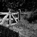 Gate at Hobbiton by nickspicsnz