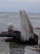 15th Jan 2019 - Ghost or Whale?