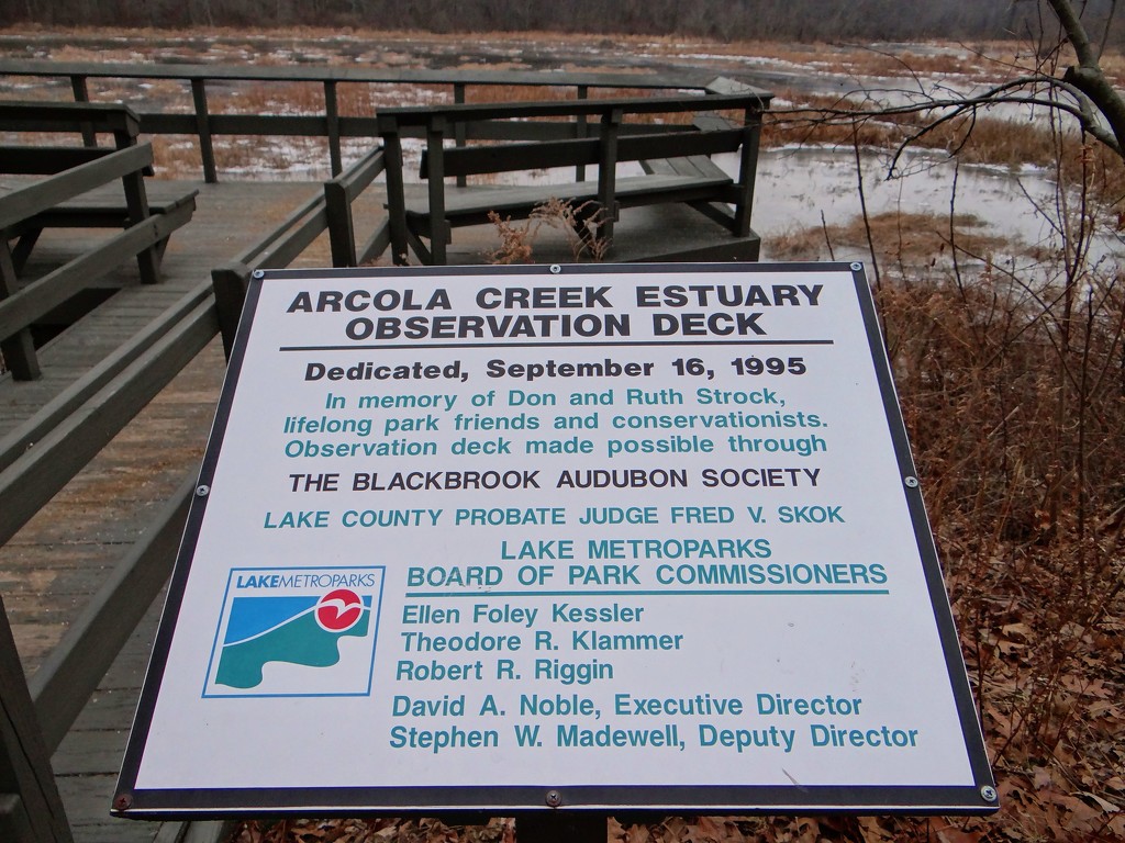 Arcola Creek Estuary by brillomick