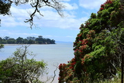 28th Dec 2018 - Looking Out to the Bay at Dickey's Landing