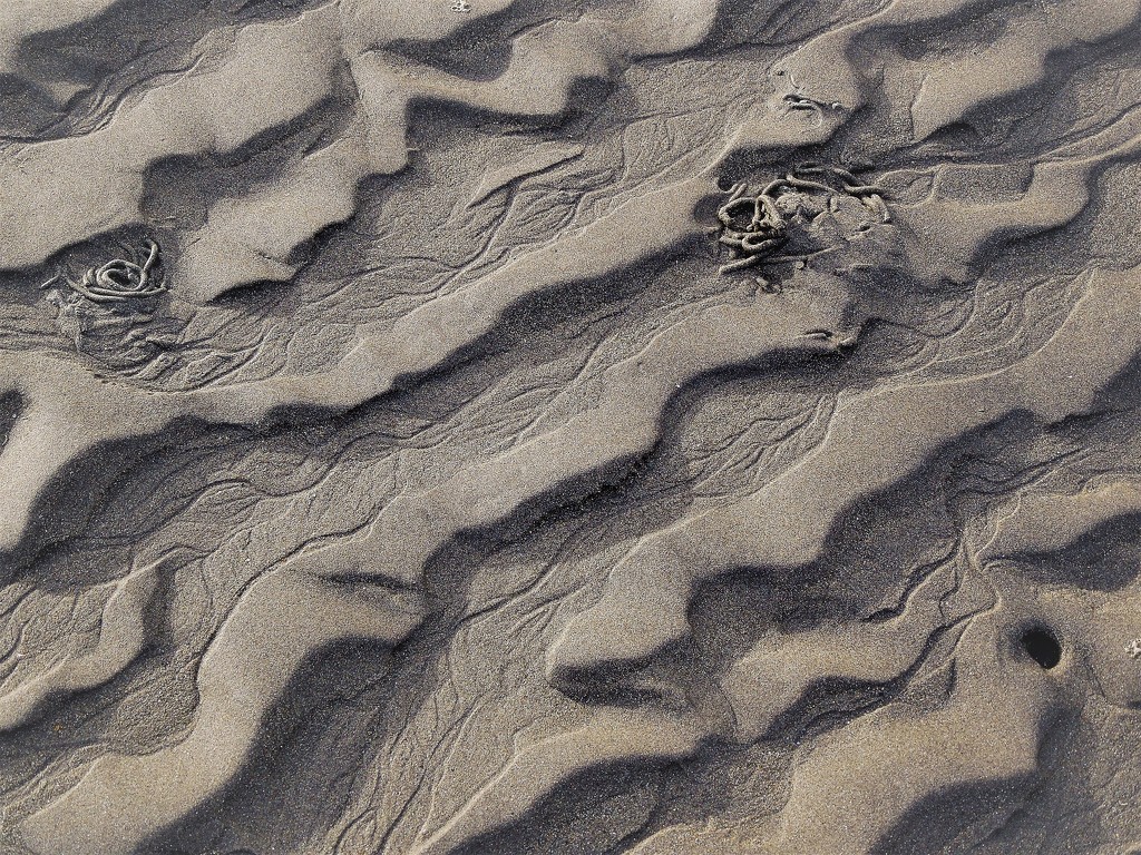 Sand ripples by etienne