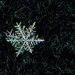 Morning snowflake  by novab