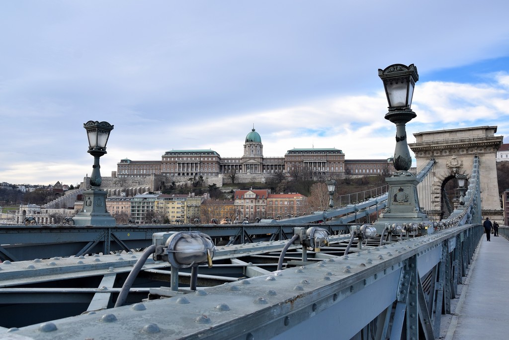 Buda Castle viewed from the Chain Bridge.  by kork