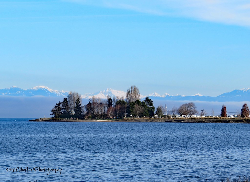 Winter in Parksville, B.C. by kathyo