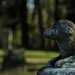 Little Lamb in the Cemetary by granagringa