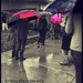 Umbrella by madamelucy