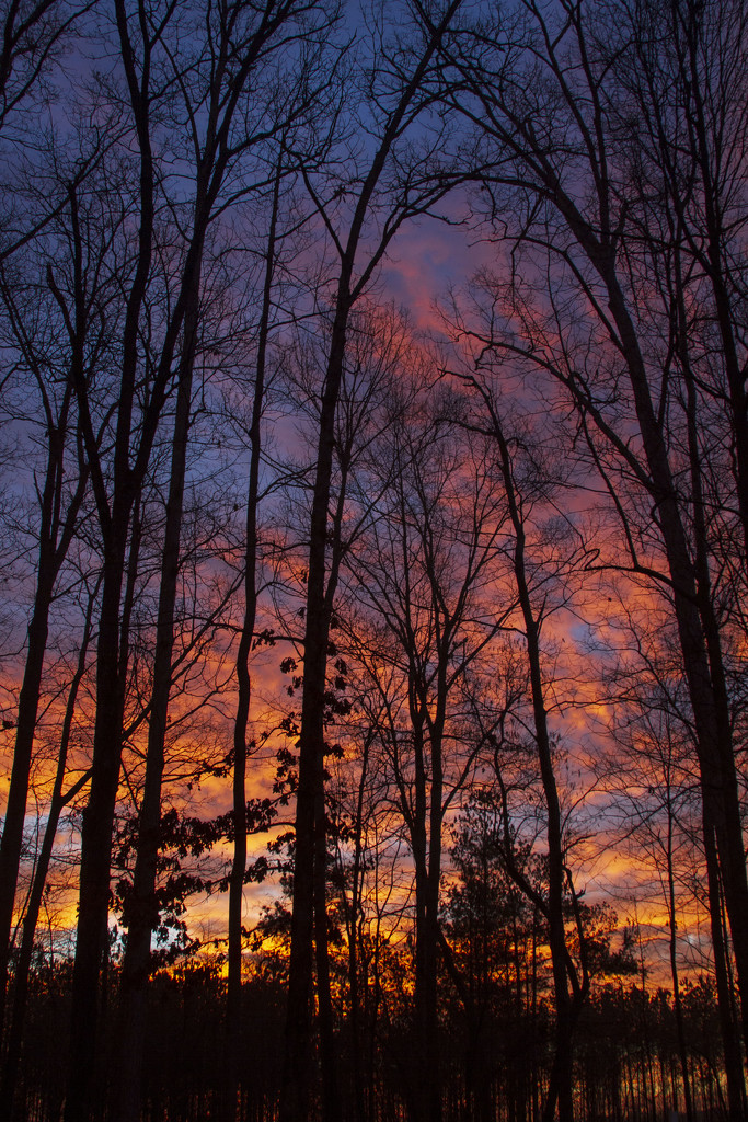Fiery Dawn by kvphoto