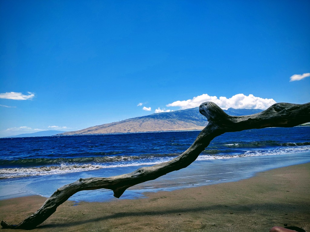 South Maui by bambilee