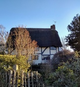 16th Jan 2019 - Cottage