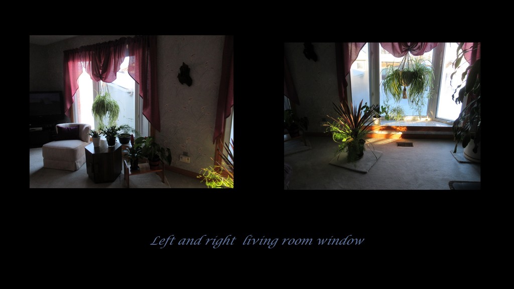 Our Living room bay windows by bruni