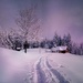 2019-01-18 enchanted winter wonderland by mona65