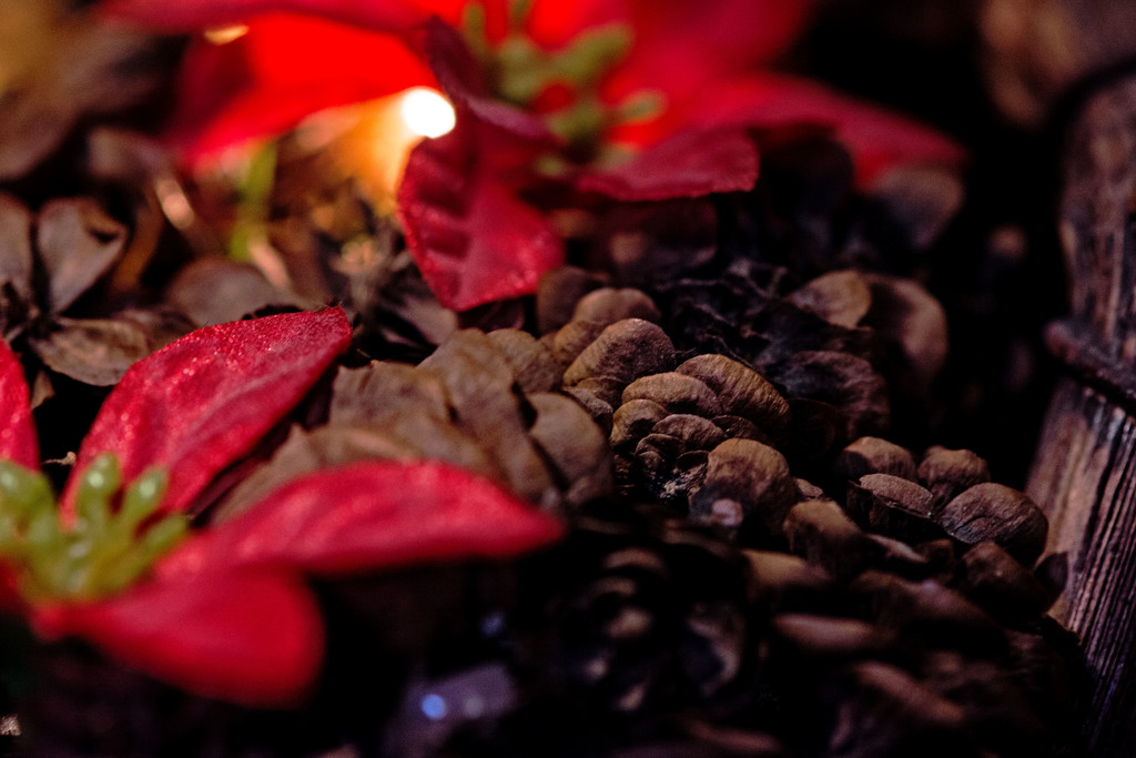 Christmas Centrepiece by farmreporter