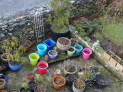 18th Jan 2019 - moved the coloured stuff onto the patio for a bit of brightness