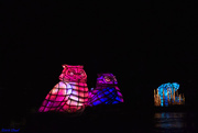 28th Sep 2018 - Rivers of Light