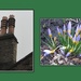 Chimney pots and crocuses. by grace55