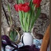 Still Life With a A Shoe and Mirror by 30pics4jackiesdiamond