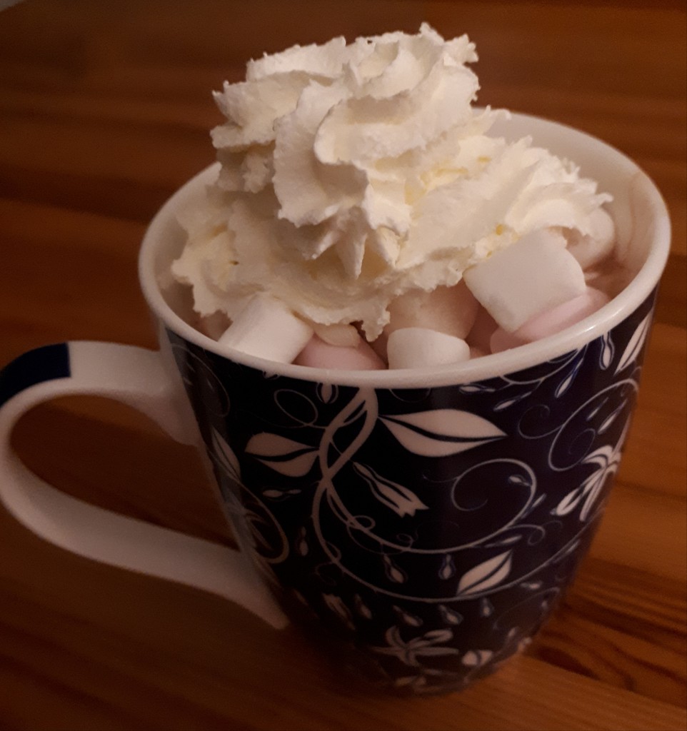 Some days deserve hot chocolate  by rosbush