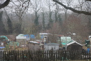 19th Jan 2019 - Across the Allotments