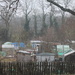Across the Allotments by daffodill