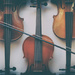 Five Violins by lyndemc