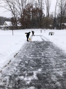 19th Jan 2019 - Two young boys make the best snowblower 