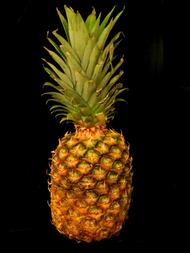 Pineapple by grammyn